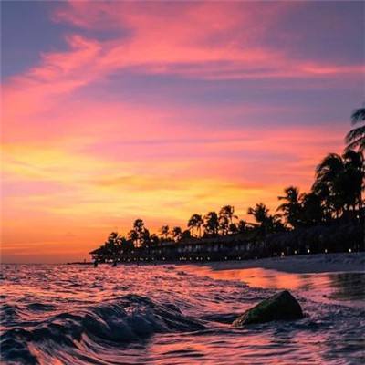 leyu·乐鱼(中国)体育官方网站app下载