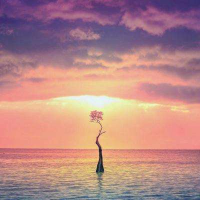 cq9电子游戏appapp下载