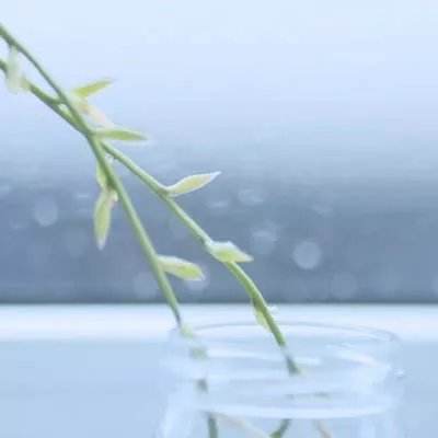 爱游戏全站APP下载手机app下载