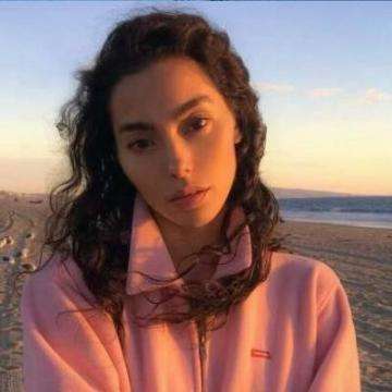 乐鱼官网手机版